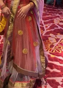 Elegant Lehenga Choli Set