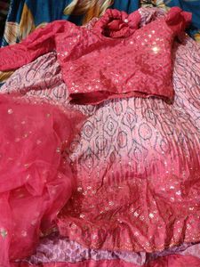 Pink Embellished Lehenga Set