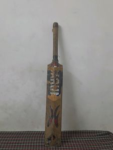 Barun Kashmiri Willow Bat