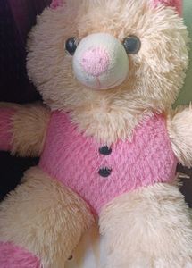 Cute Pink &amp; Cream Teddy Bear