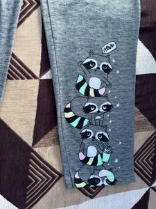 Raccoon Print Leggings