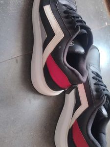 Men Sneakers