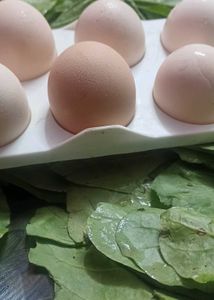 Fresh Farm Eggs