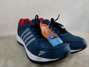 Asian Brand New Shoes With Tag