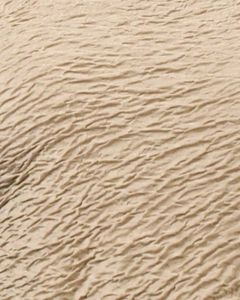 Elegant Bodycon Dress(S/M Size Both Available)