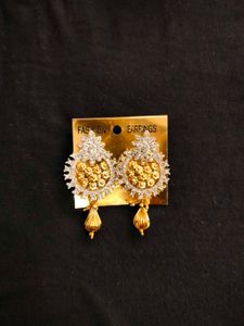 Fashion Earrings