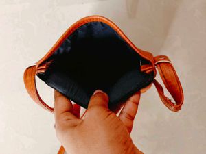 Cute Sling Bag