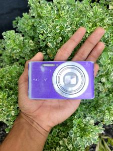 Sony Cybershot Dsc-w830 Digital Camera