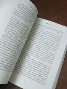 A Detective Story With No Detectiv