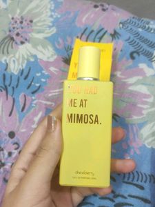 Dressberry Perfume Swiss Beauty  Gloss Nyx Conceal