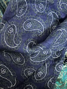 Paisley Print Dress &amp; Chudidhar Set
