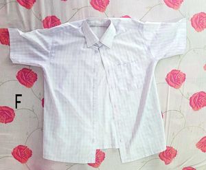Men's Striped Shirt For Those Casual Days