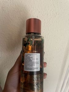 VS Bare Vanilla Untamed
