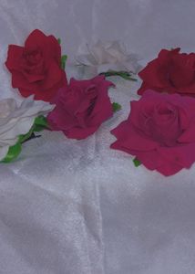 Hair Clips