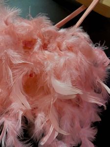 Pink Feather Crop Top