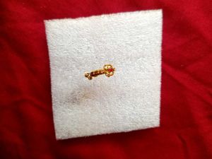Original Gold Nose Ring