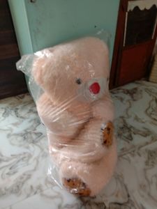 Cash 600 Teddy Bear Special For Valentine