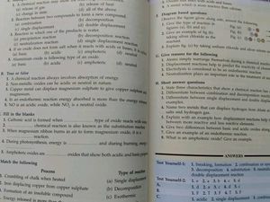 ICSE Understanding Chemistry Class VIII