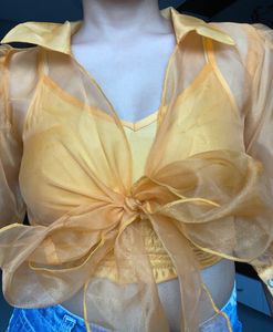 Orange Orgenza Mesh Top With That Inner