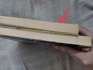 Novel - The Lost Scraps Of Love (40 Rs)