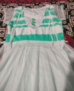 Gorgeous Net Western Gown