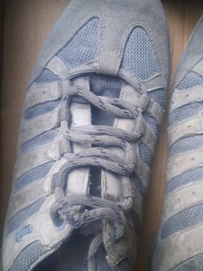 Woodland Shoes
