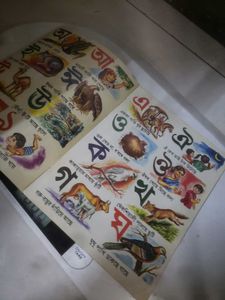 Bangla Bengali Language Learning Book