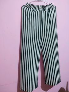 Dailywear Palazzos For Women