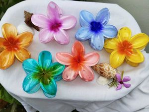 Floral Flower Hair Clips Set Of 6