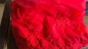 Red Embroidered Net Saree