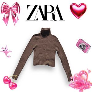 Zara Brown Turtleneck Top