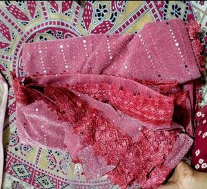Elegant Pink Sequin Saree