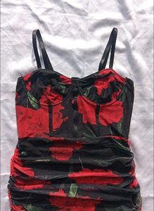 Brand New(Urbanic)Floral Print Corset Dres