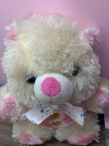 Mini teddy Bear