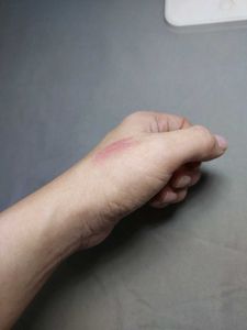 Swiss Beauty Blush