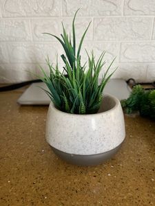 1 Plastic Pot And 4 Artificial Plants