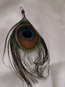 Peacock Feather Earrings