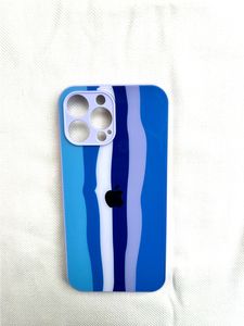 Iphone 13 PRO MAX Glass Finish Back Cover