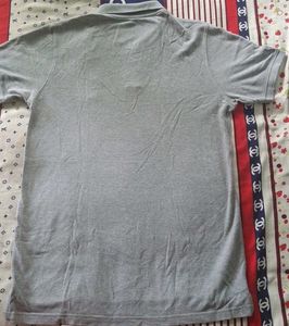 Converse All Star Polo - Grey