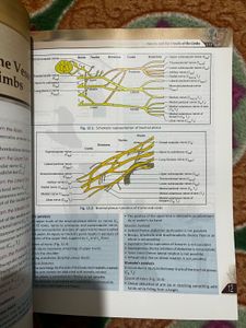 Manipal Manual of Anatomy