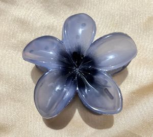 Beautiful Hair Clip