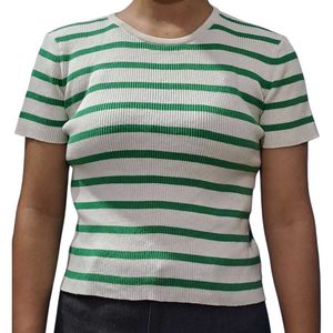 Zara Mid Winter Top