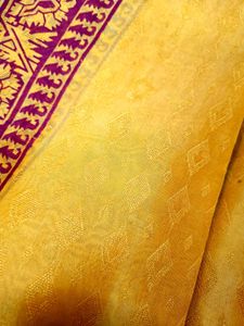 Beautiful Mustard Saree