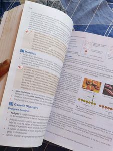 Ncert At Your Fingertips Biology (New)