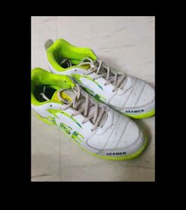 Criket Shoe ASE Green colour!