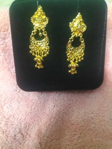Gold Plated Light Weight Earrings