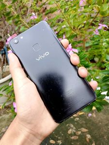 Vivo V7 Plus (64GB)
