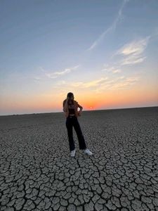 Stylish brown Puffer Vest
