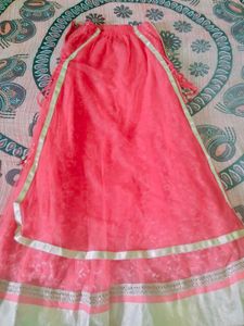 Embroidered Lehenga Choli Set
