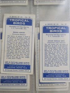 Cigrette Cards Pack Of 50